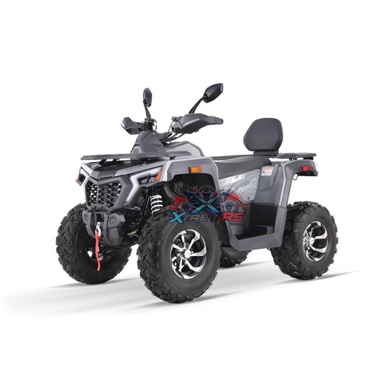 Quad 200 ccm Quablo 220 VX CVT Platin