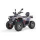 Quad 200 ccm Quablo 220 VX CVT Platin