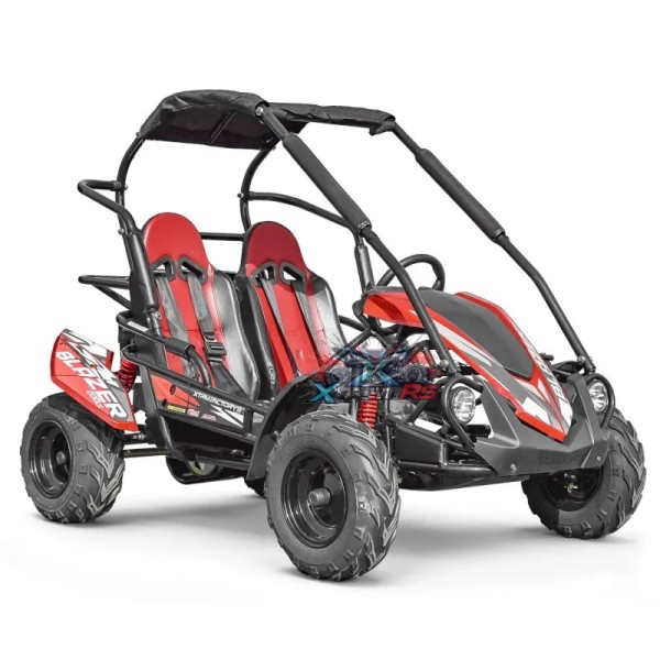 Buggy copii 2 locuri 200cc