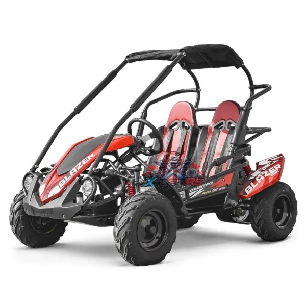 Buggy copii 2 locuri 200cc