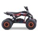Mini Quad Electrique IMR WR1300 Lithium