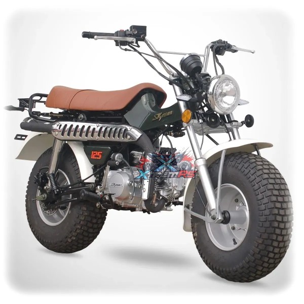 Moto Skyteam 125cc T-REX 125