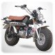 Motorrad Skyteam 125cc T-REX 125