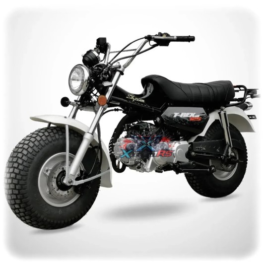 Moto Skyteam 125cc T-REX 125