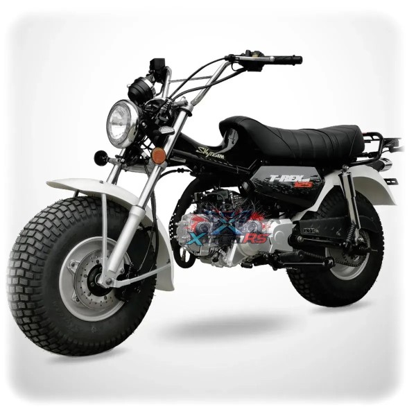 Skyteam 125cc T-REX 125 Motorcycle
