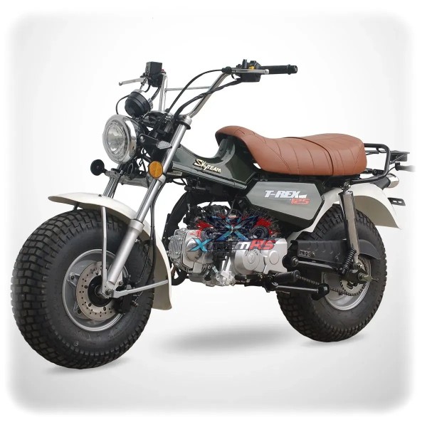 Skyteam 125cc T-REX 125 Motorcycle