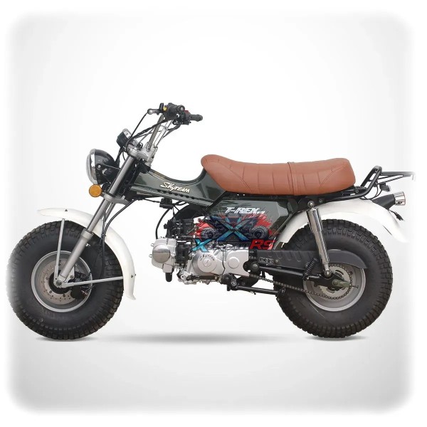 Moto Skyteam 125cc T-REX 125