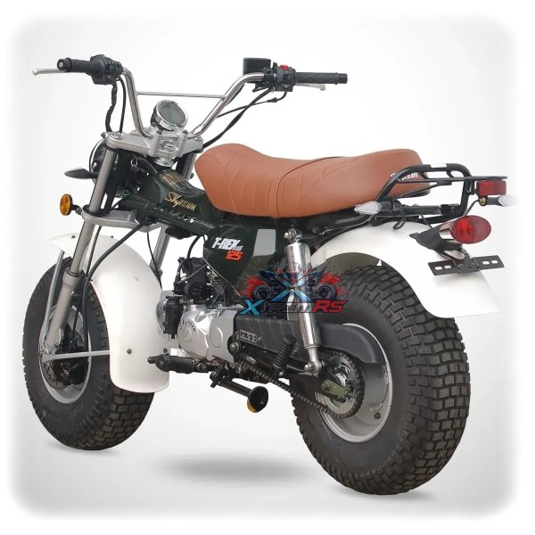 Moto Skyteam 125cc T-REX 125