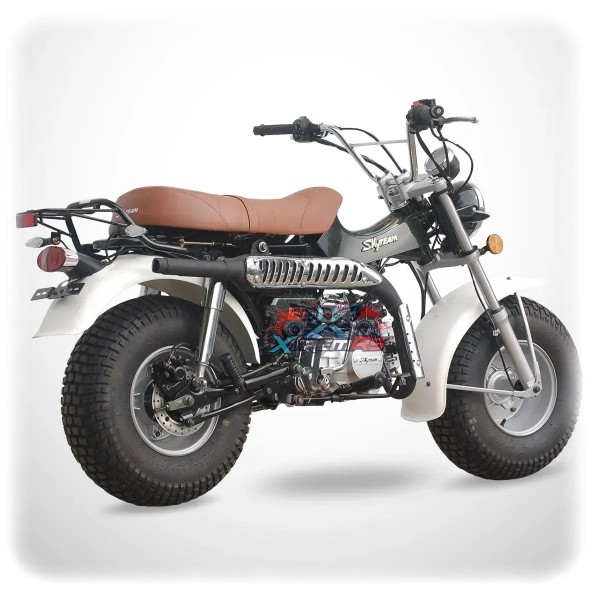 Moto Skyteam 125cc T-REX 125