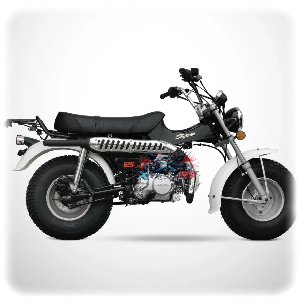 Moto Skyteam 125cc