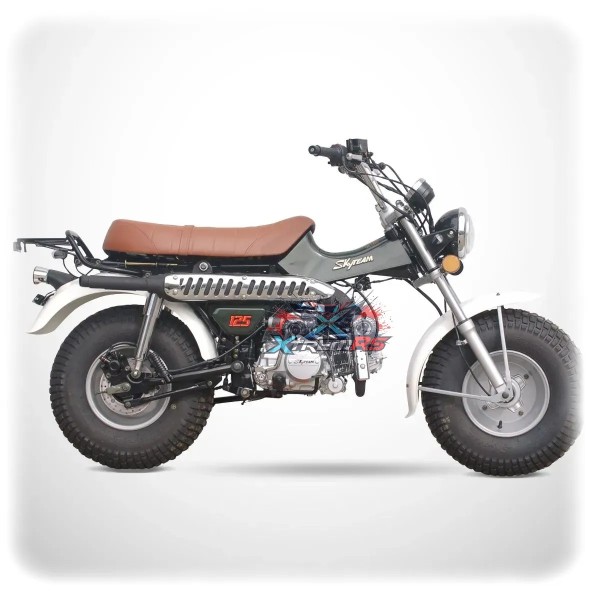 Moto Skyteam 125cc T-REX 125