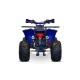 Quad pentru adolescenți 125cc Warrior GS RS8-A Sport