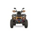 Quad 230cc automatique Tricia  CVT RS10 Platinum