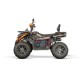 Quad 230cc automatico Tricia CVT RS10 Platinum