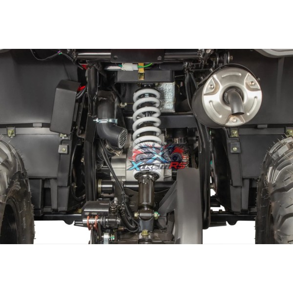 Quad 230cc automatique Tricia  CVT RS10 Platinum
