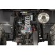 230cc Automatic Tricia CVT RS10 Platinum Quad
