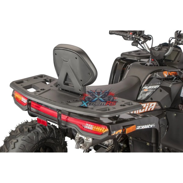 Quad 230cc automatique Tricia  CVT RS10 Platinum