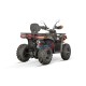 Quad 230cc automatique Tricia  CVT RS10 Platinum
