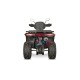 Quad 230cc automatique Tricia  CVT RS10 Platinum