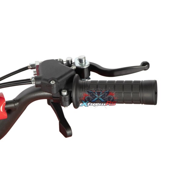 Mini Quad 49cc Gasoline Torino Sport