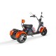 Straßenzugelassenes Trike Cruzer Vi2 3000W