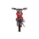 Apollo Fun 49cc Pocket Bike Cross Premium pour Jeunes Pilotes