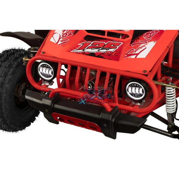 Buggy Infantil 125cc Hunt RG8-A freios hidráulicos XtremRS