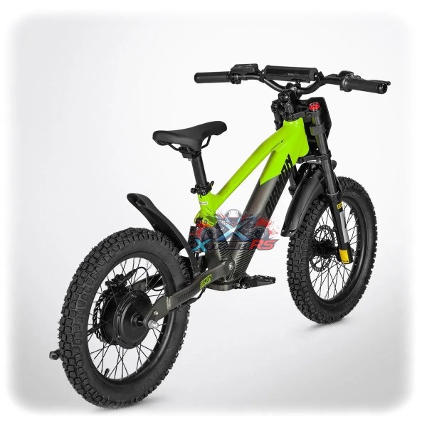 Draisienne Électrique Enfant 6 ans