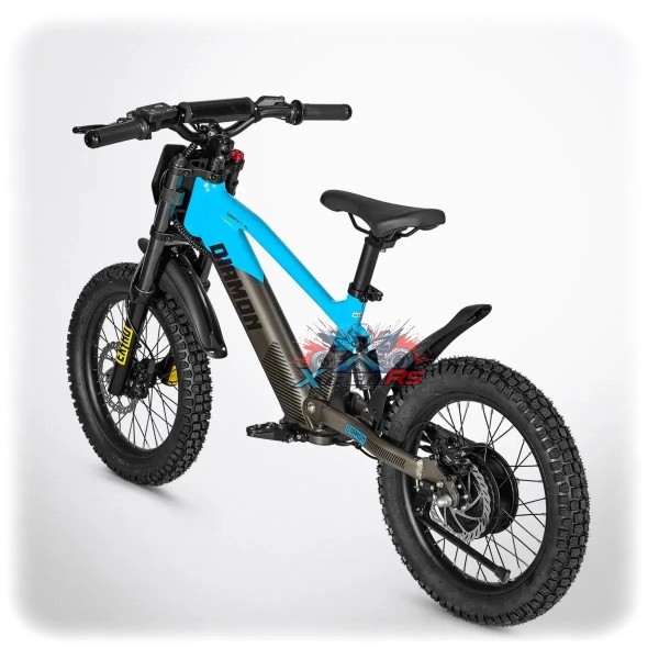 Draisienne Électrique Enfant 6 ans