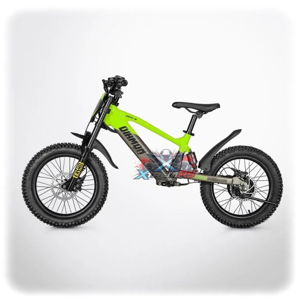 Draisienne Électrique Enfant 6 ans