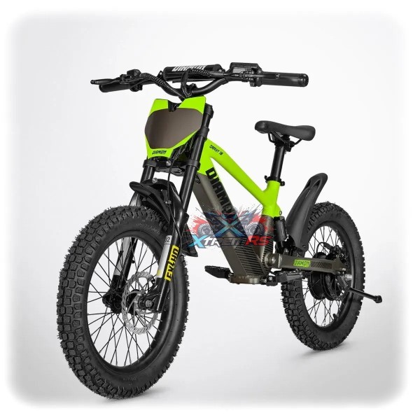 Draisienne Elettrica Bimbo 6 anni 600W