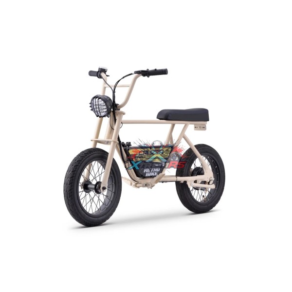 Elektrische Driewieler 250W 10 jaar Retro Sport