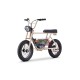 Elektrische Driewieler 250W 10 jaar Retro Sport