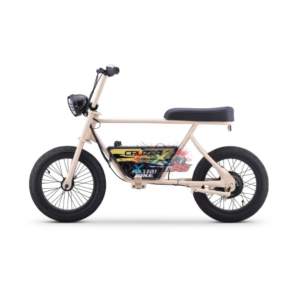Draisienne Elettrica 10 Anni 24V 250W
