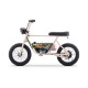 Elektrische Driewieler 250W 10 jaar Retro Sport