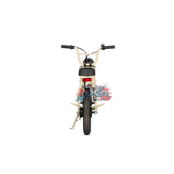 Draisienne Electrique 24V 250W Enfant 10 Ans XtremRS