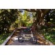 Draisienne Electrique 250W 24V 10 Ans XtremRS