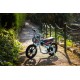 Draisienne Electrique 200W 6 Ans Retro HC Sport