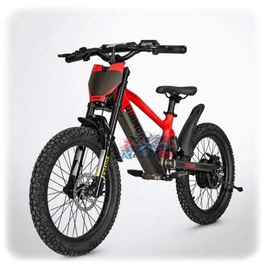 DRAXY 600W Electric Balance Bike 20 Inch for Kids