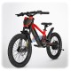 DRAXY 600W Electric Balance Bike 20 Inch for Kids