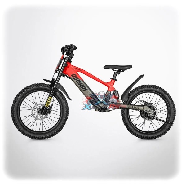 Draisienne elektrická DRAXY 600 W 20" | XtremRS