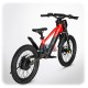 DRAXY 600W Electric Balance Bike 20 Inch for Kids