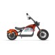 E-Motorrad Cruzer VR3 3000W straßenzugelassen XtremRS