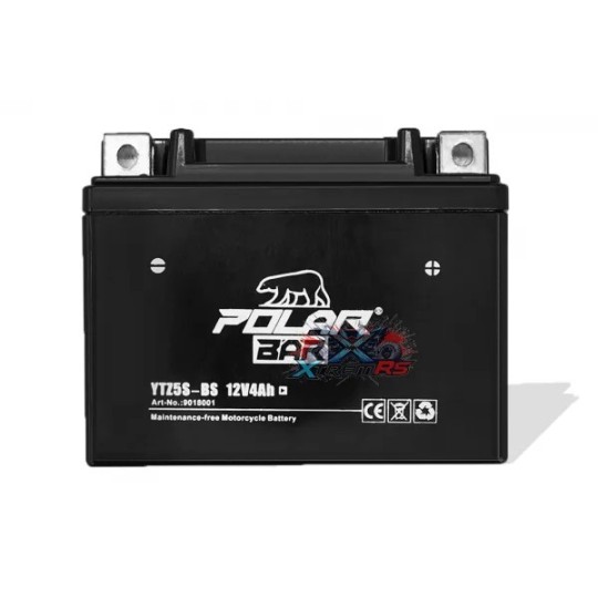 Batteria Quad 12V 4Ah AGM Polar Bear