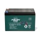 Polar Bär AGM Battery 12V 12Ah for Moto Scooter Quad