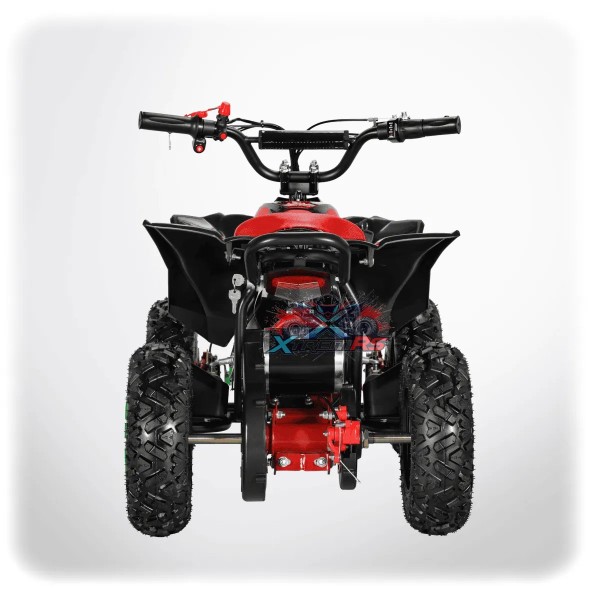 Pocket quad électrique