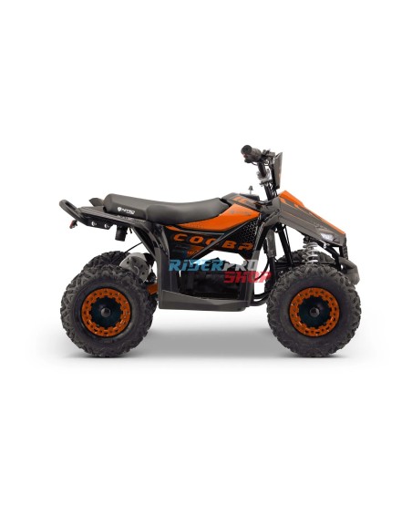 Quad Électrique Premium 1000W Cooba PRM 6&quot; - Sécurité et Plaisir