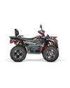 Tricia 300cc Platin Homologué - zugelassenes 300cc Quad