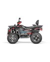 Tricia 300cc Platin Homologué - zugelassenes 300cc Quad