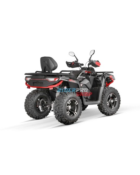 Tricia 300cc Platin Homologué - zugelassenes 300cc Quad